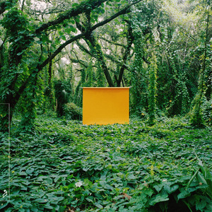 男女激情四射视频
